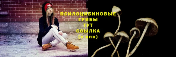 jwh Белокуриха