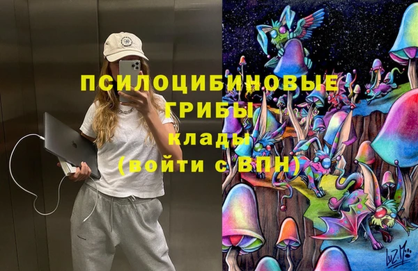 jwh Белокуриха