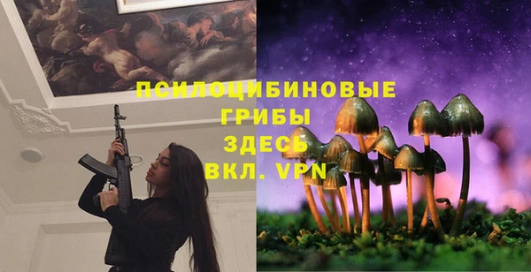 jwh Белокуриха